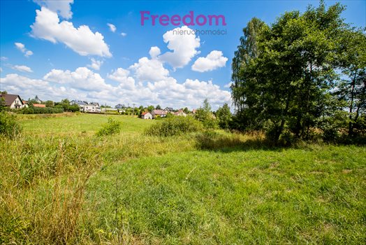 Działka budowlana na sprzedaż Boguchwała, Partyzantów 4 700m2 Foto 10