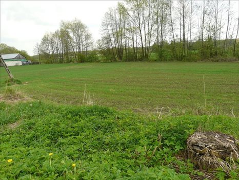 Działka inna na sprzedaż Majdan Krasieniński, Niemce 2 184m2 Foto 5