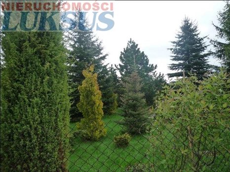Działka budowlana na sprzedaż Łoś, Łoś 1 200m2 Foto 3
