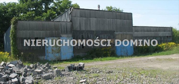 Lokal użytkowy na sprzedaż Głowno 604m2 Foto 7