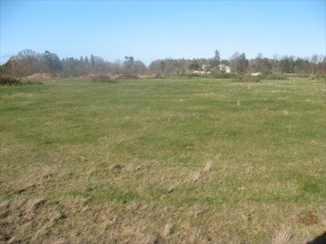 Działka inna na sprzedaż Łeba - Szczenurze, Jezioro Sarbsko, Szczenurze - 5 Km Od Łeby 1 783m2 Foto 4