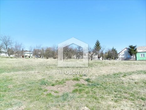 Działka budowlana na sprzedaż Skała, Cianowice Duże 3 091m2 Foto 2