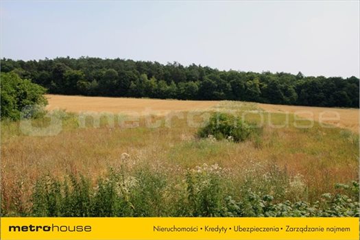Działka inna na sprzedaż Janów, Chełm 1 250m2 Foto 4