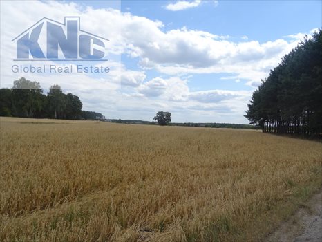 Działka budowlana na sprzedaż Lubiaszów 1 500m2 Foto 3