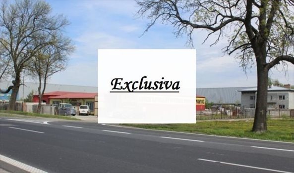 Działka inwestycyjna pod dzierżawę Lesznowola, Łazy 6 500m2 Foto 3