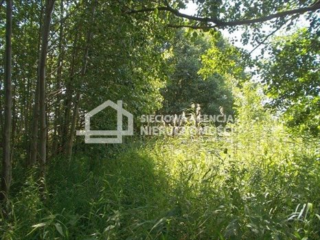 Działka rolna na sprzedaż Małe Swornegacie 4 792m2 Foto 10
