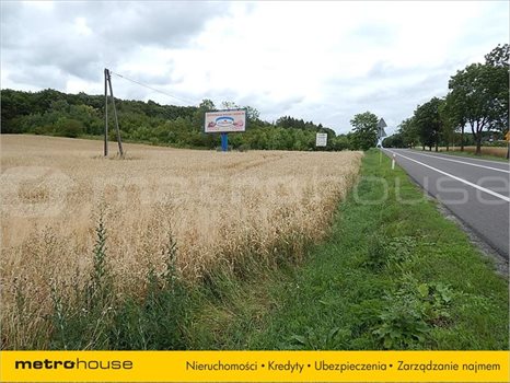 Działka inna na sprzedaż Janów, Chełm 20 269m2 Foto 6