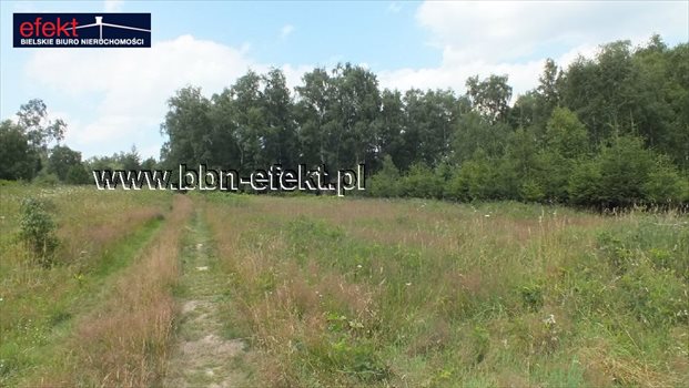Działka budowlana na sprzedaż Buczkowice 3 900m2 Foto 7