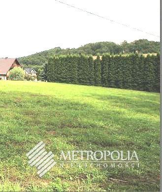 Działka budowlana na sprzedaż Mogilany 3 400m2 Foto 4