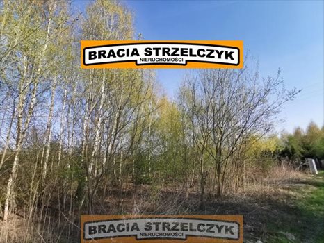 Działka budowlana na sprzedaż Ludwików 985m2 Foto 4