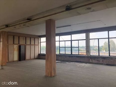 Lokal użytkowy na sprzedaż Kietrz, Okrzei 21 2 500m2 Foto 9