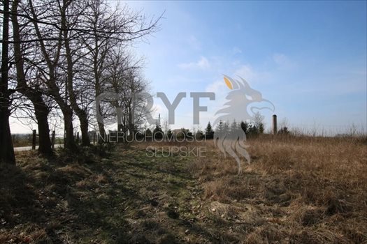 Działka inna na sprzedaż Bruskowo Wielkie 6 427m2 Foto 4