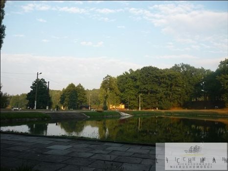 Działka budowlana na sprzedaż Dąbrówka Wielka 1 481m2 Foto 4