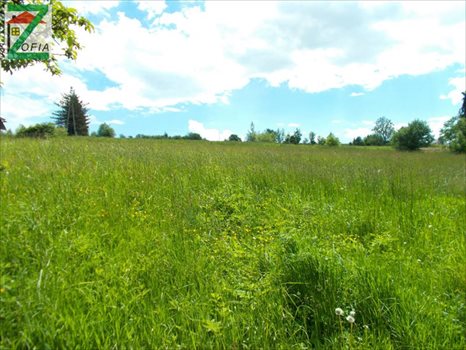 Działka budowlana na sprzedaż RABKA-ZDRÓJ 1 400m2 Foto 5