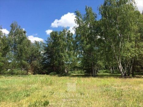 Działka budowlana na sprzedaż Konstancin-Jeziorna 4 000m2 Foto 5