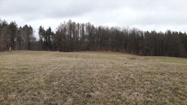 Działka budowlana na sprzedaż Sucha Huta 3 003m2 Foto 2