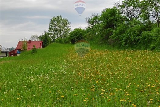 Działka rolna na sprzedaż Rabka-Zdrój 1 472m2 Foto 1