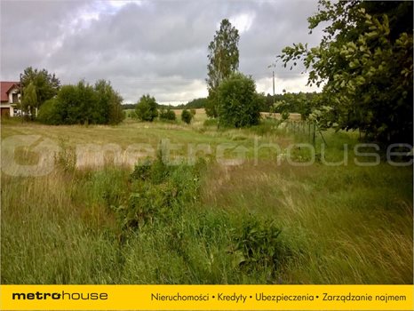 Działka inna na sprzedaż Nowa Wieś Przywidzka, Przywidz 3 297m2 Foto 2