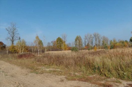 Działka inwestycyjna pod dzierżawę Warszawa, Wilanów, Wilanów, Pałacowa 5 600m2 Foto 6