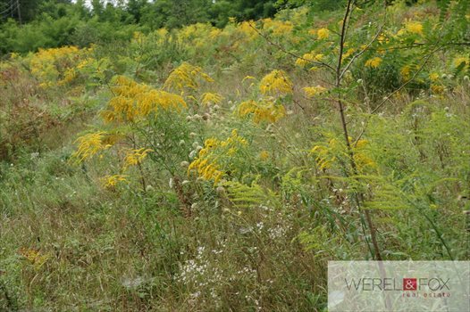 Działka budowlana na sprzedaż Niewodnica Kościelna 1 000m2 Foto 2