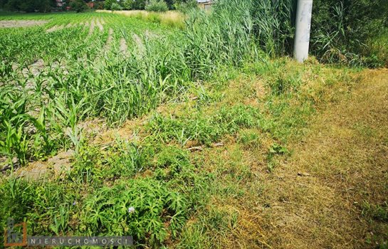 Działka budowlana na sprzedaż Zielonki 1 540m2 Foto 4