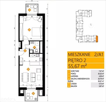 Mieszkanie dwupokojowe na sprzedaż Poznań, Jeżyce, Zwierzyniecka 56m2 Foto 5