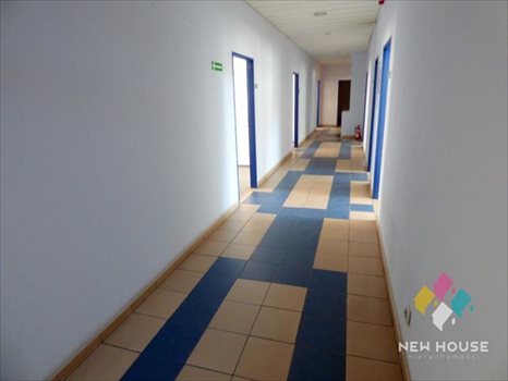 Lokal użytkowy na wynajem Olsztyn, Adama Mickiewicza 383m2 Foto 11