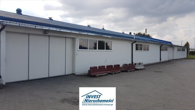 Lokal użytkowy na sprzedaż Koszalin, Lechitów 2 406m2 Foto 4