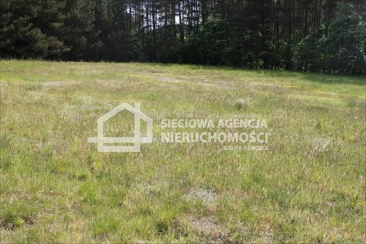 Działka budowlana na sprzedaż Lubowidz 950m2 Foto 5
