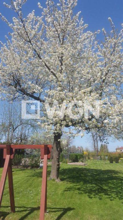 Dom na sprzedaż Rogoźnica, Rogoźnica, Rogoźnica 297m2 Foto 4