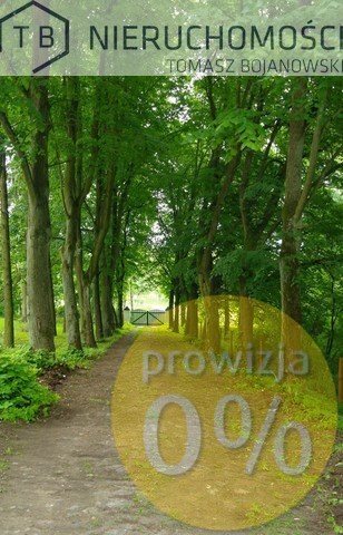 Dom na wynajem Szamotuły, Obrzycko, Piotrowo, W LESIE! 800m2 Foto 1
