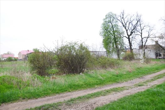 Działka budowlana na sprzedaż Rogów Sobócki 2 902m2 Foto 9