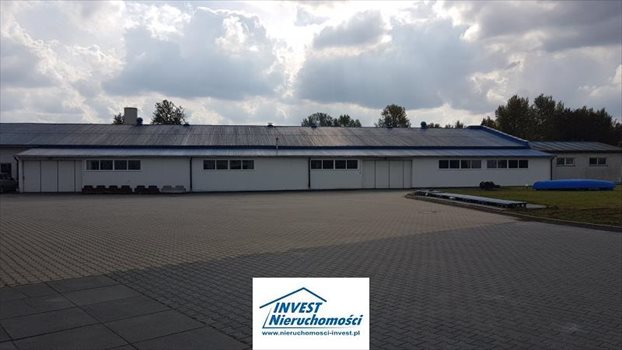 Lokal użytkowy na sprzedaż Koszalin, Lechitów 2 406m2 Foto 3