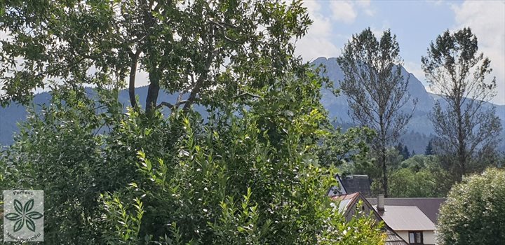 Mieszkanie trzypokojowe na sprzedaż Zakopane 75m2 Foto 9