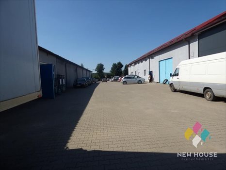 Lokal użytkowy na wynajem Dorotowo 800m2 Foto 8