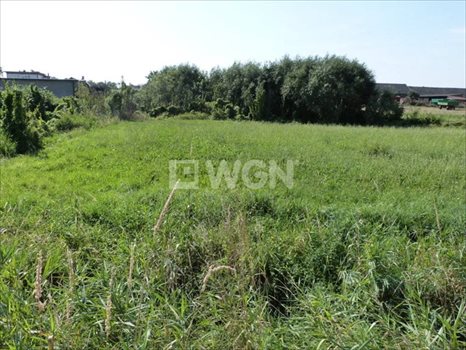 Działka budowlana na sprzedaż Dobrzyca, Dobrzyca, ul. Krotoszyńska 5 200m2 Foto 2