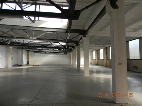 Lokal użytkowy na sprzedaż Kobiór 690m2 Foto 4