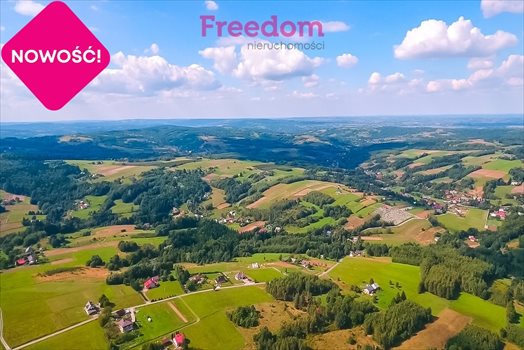 Działka budowlana na sprzedaż Straszydle 10 000m2 Foto 3
