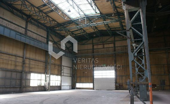Lokal użytkowy na sprzedaż Łojki 6 000m2 Foto 4