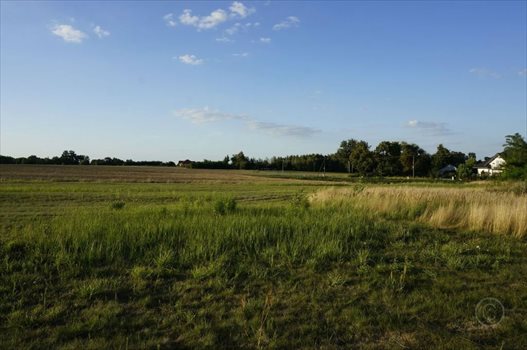 Działka inna na sprzedaż Astachowice 1 170m2 Foto 3