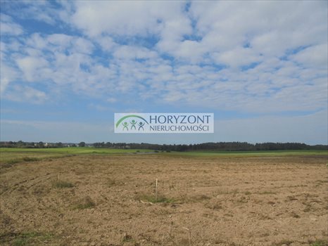 Działka budowlana na sprzedaż Małkowo 1 300m2 Foto 4