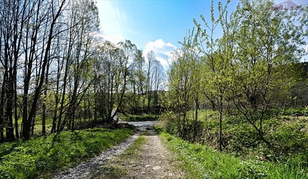 Działka inna na sprzedaż Przysłup 2 079m2 Foto 4