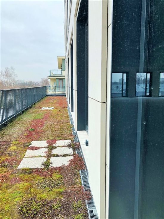 Lokal użytkowy na wynajem Kraków, Grzegórzki, Pilotów 250m2 Foto 7