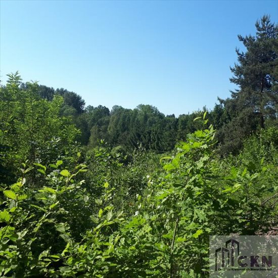 Działka budowlana na sprzedaż Gaj, Gaj 5 000m2 Foto 2