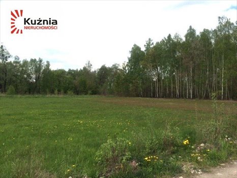 Działka budowlana na sprzedaż Książenice 2 313m2 Foto 1