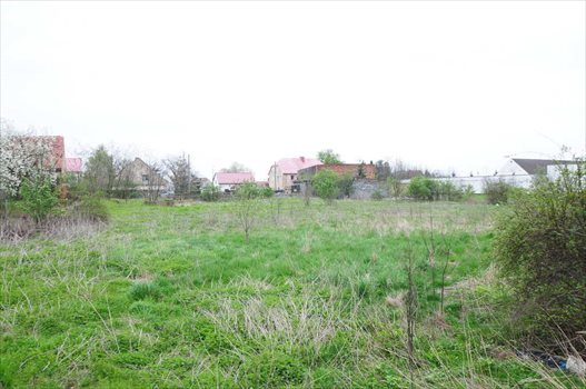 Działka budowlana na sprzedaż Rogów Sobócki 2 902m2 Foto 6