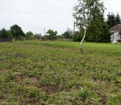 Działka budowlana na sprzedaż Strażów 4 500m2 Foto 2