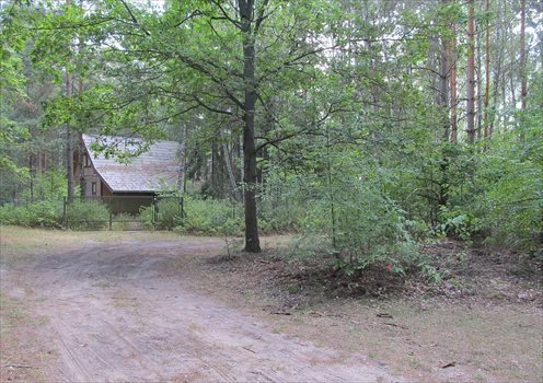 Działka budowlana na sprzedaż Ruda 10 500m2 Foto 2