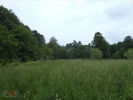 Działka budowlana na sprzedaż Łódź, Polesie 5 664m2 Foto 6
