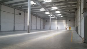 Lokal użytkowy na wynajem Poznań, Dębiec 1 500m2 Foto 3